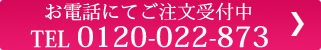 ご購入はお電話から　0120-022-873